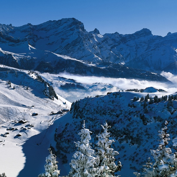 Villars